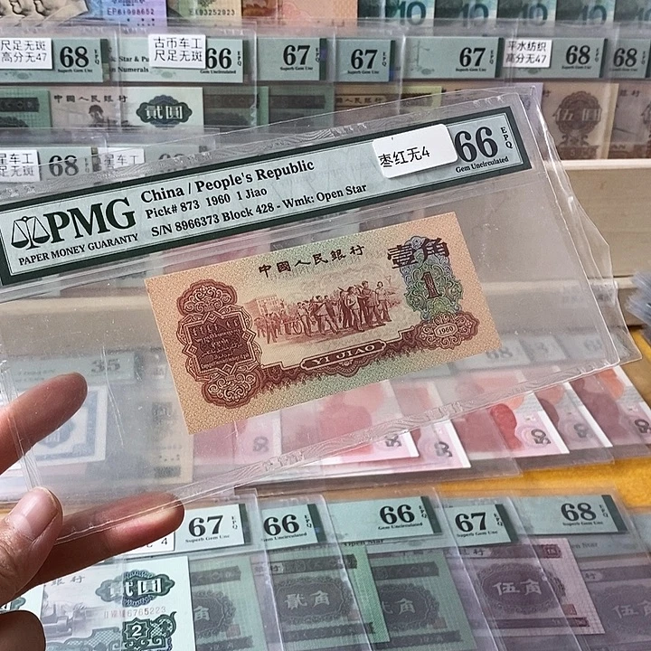 三版枣红无4尾6373