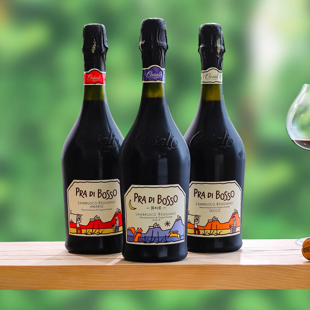 Bosso波索童话干半甜红起泡酒蓝布鲁斯科气泡葡萄酒女生微醺红酒