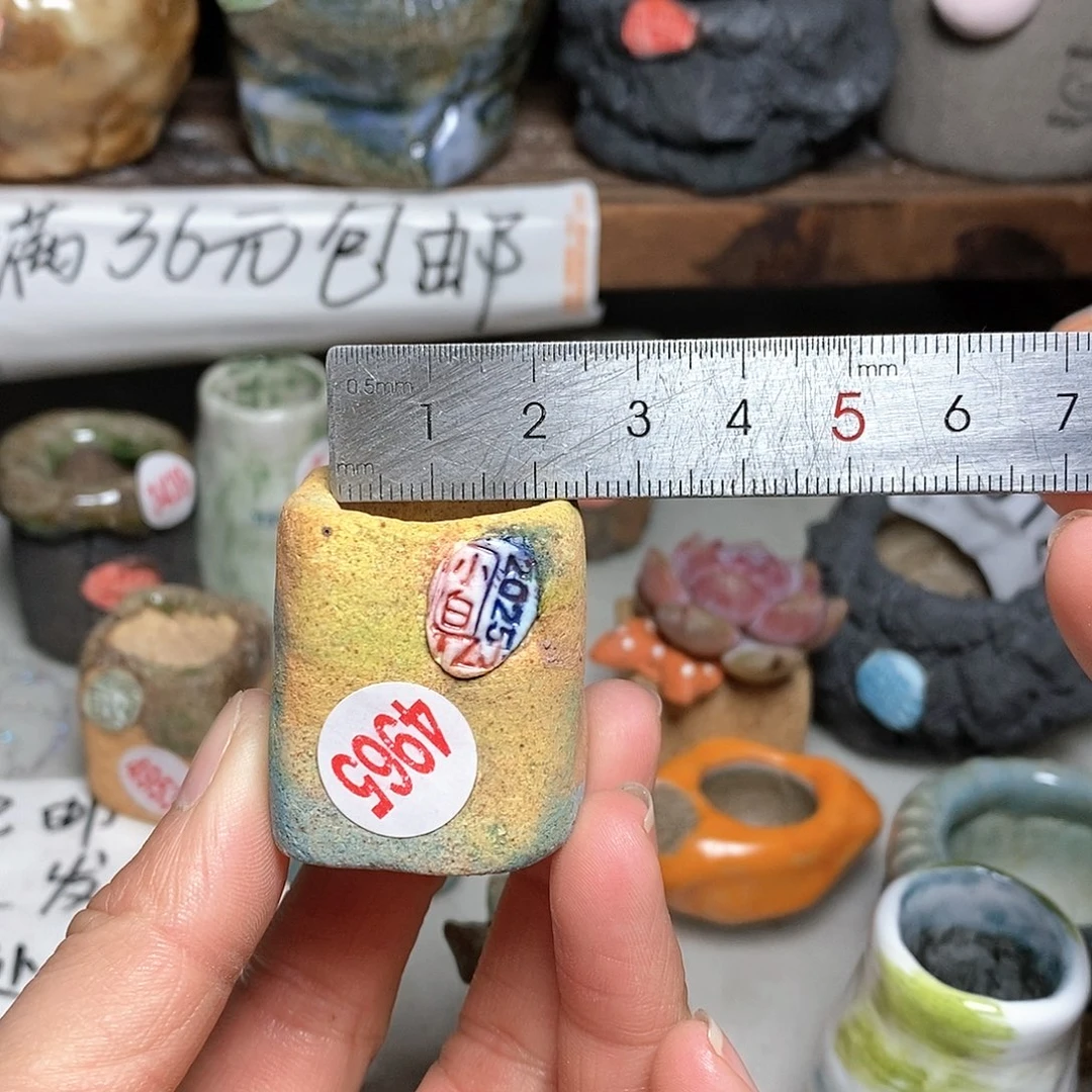 红陶拍5送一个小