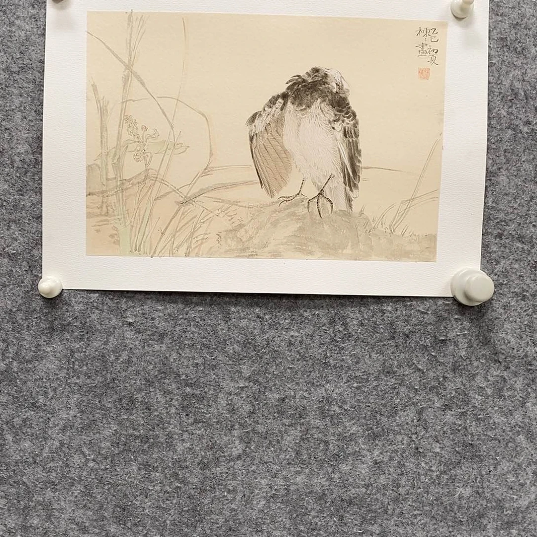 国画赵栋栋花鸟画精品