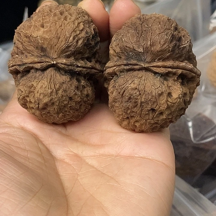 把件文玩核桃云南铁核桃基地28