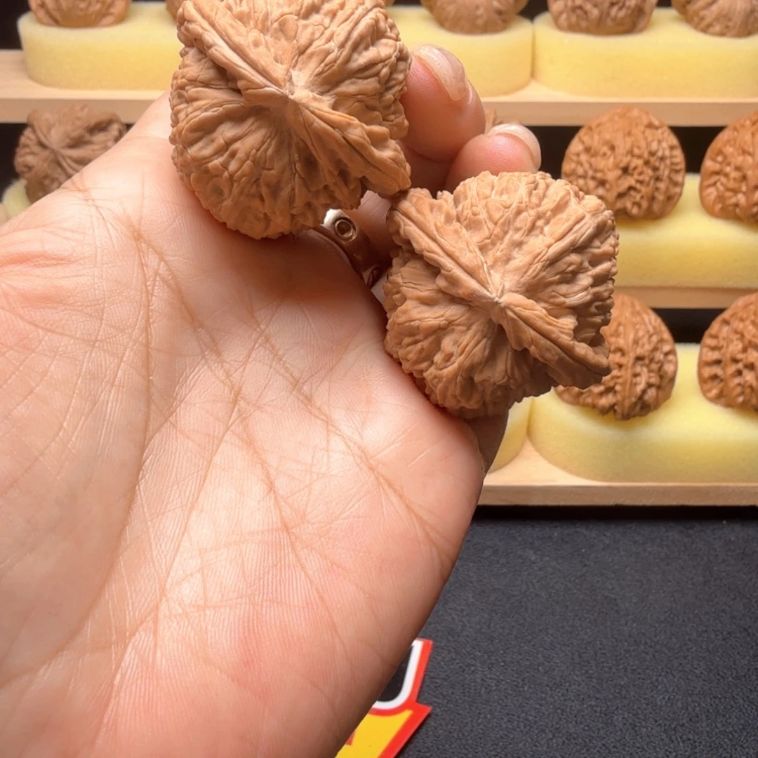 核桃40尺白狮子全品