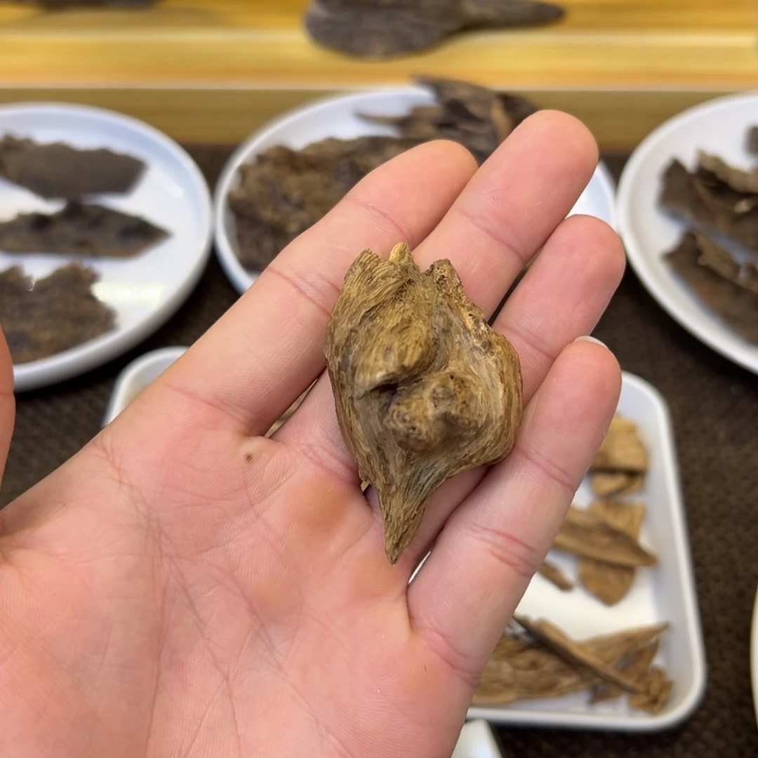 海南天然土沉壳子2.86g