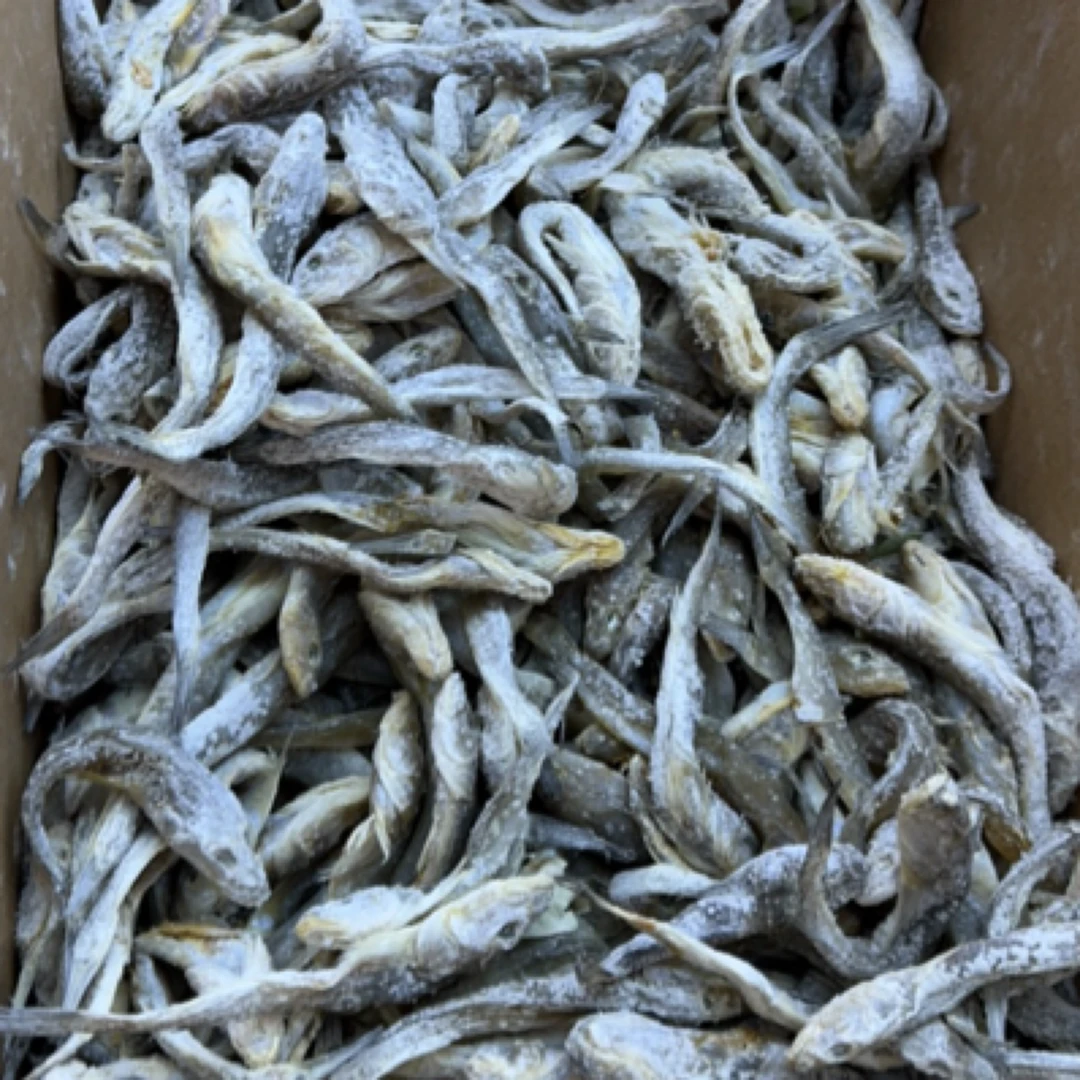咸狗杠鱼（散装，斤）