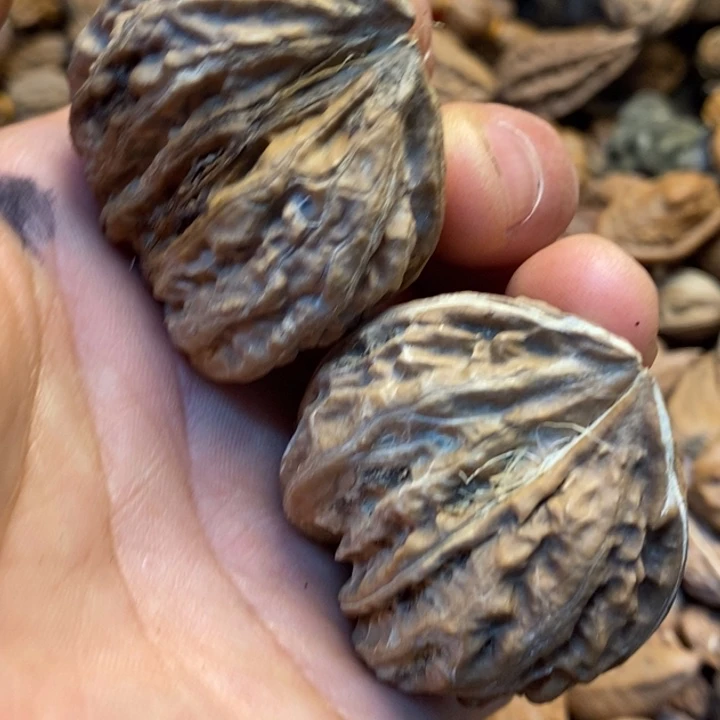 吊坠桃核双榜一一对30