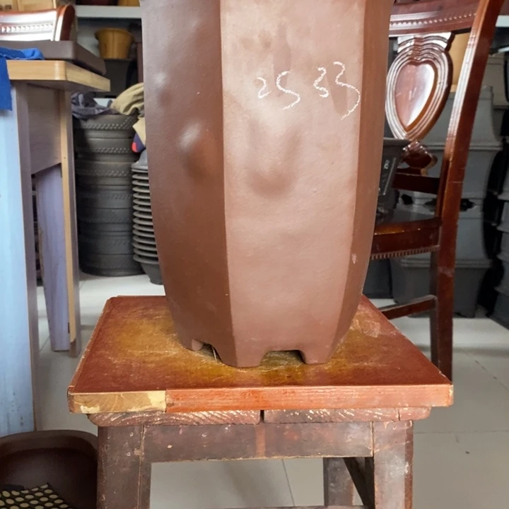 紫砂花盆只顾吃东西就