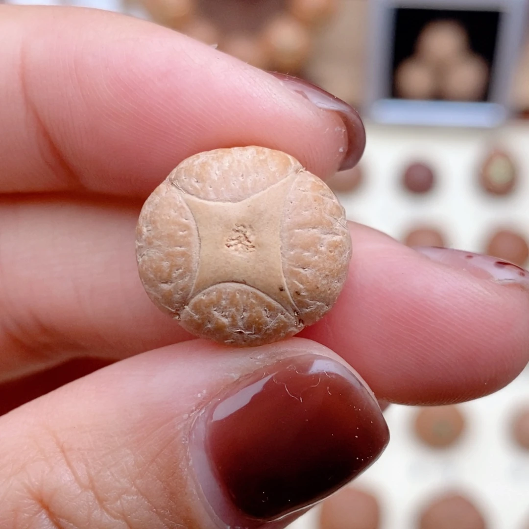 龙眼菩提吊坠麒麟