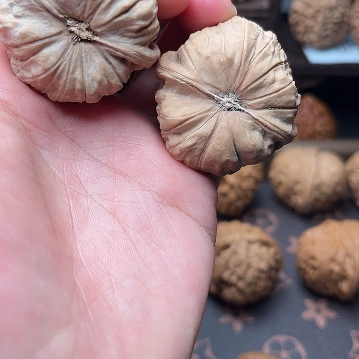 核桃41全品南瓜墩