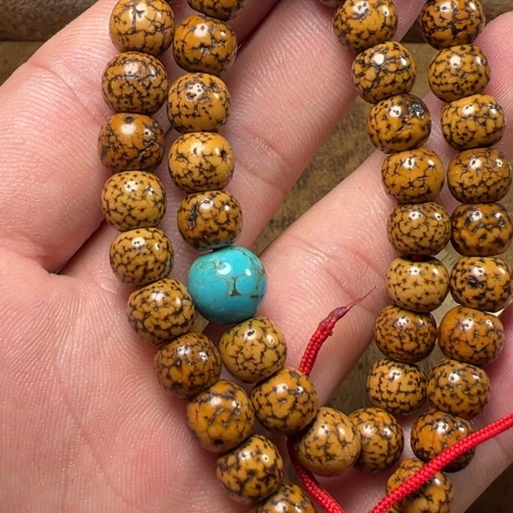 我们都是在这里看到