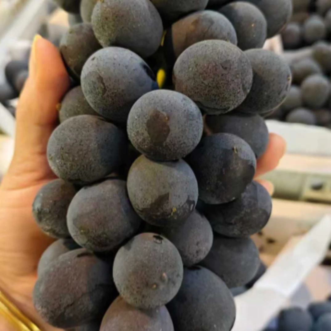 黑珍珠葡萄1份约2000g福建省