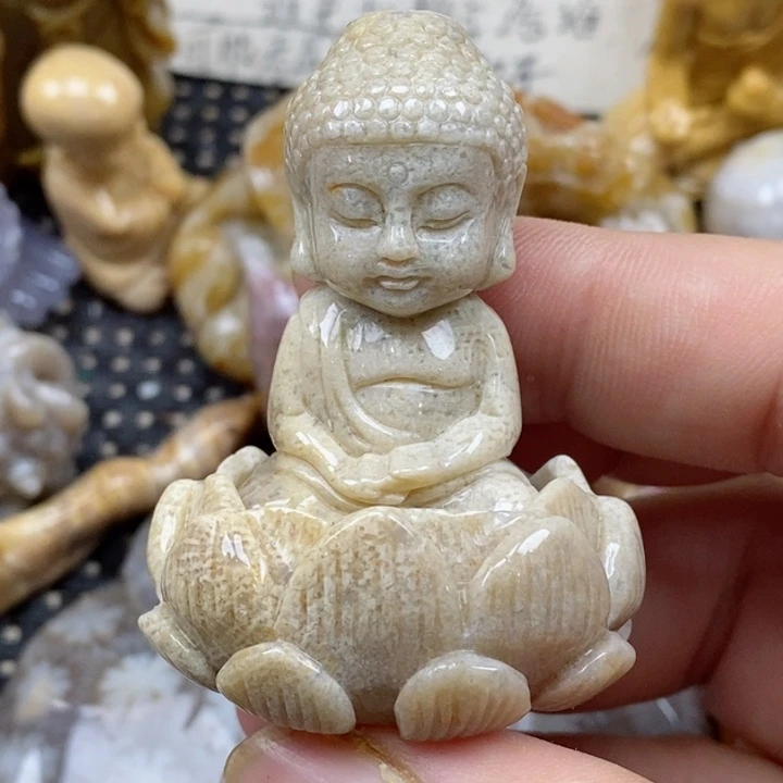 颈饰未镶嵌硅化珊瑚（珊瑚玉）