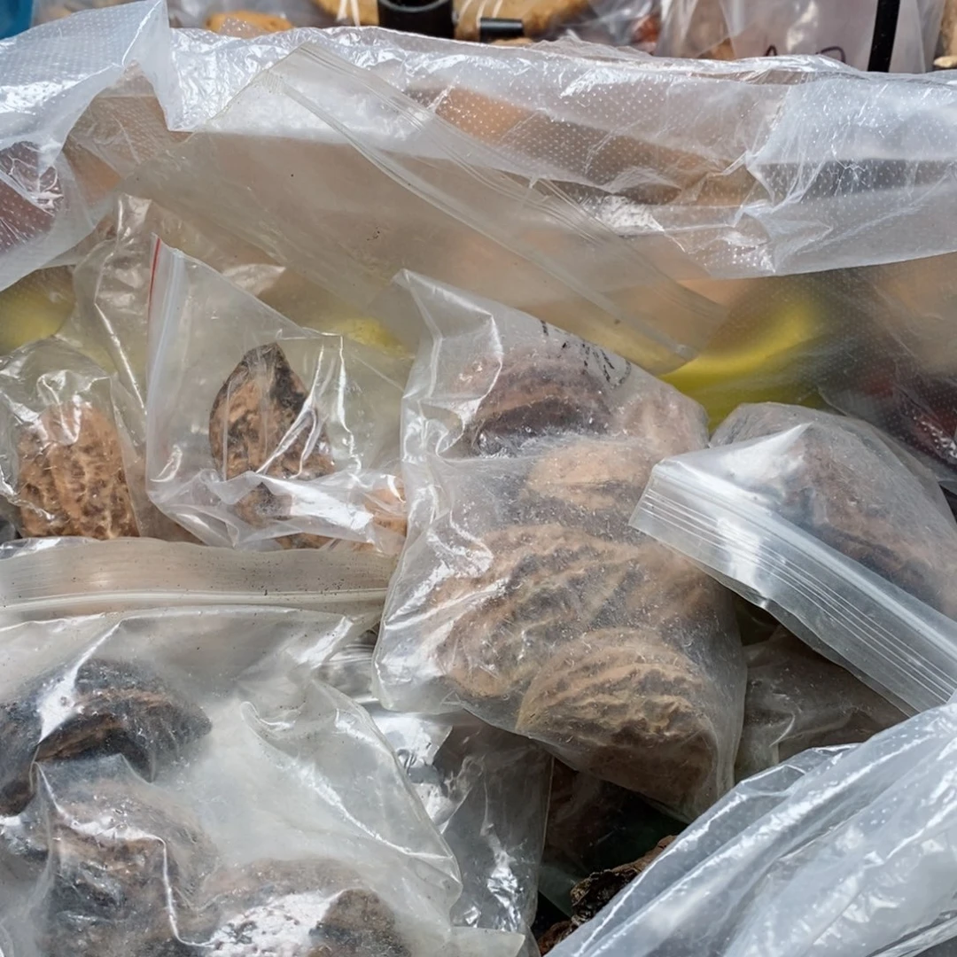 文玩核桃吊坠7****b核桃99