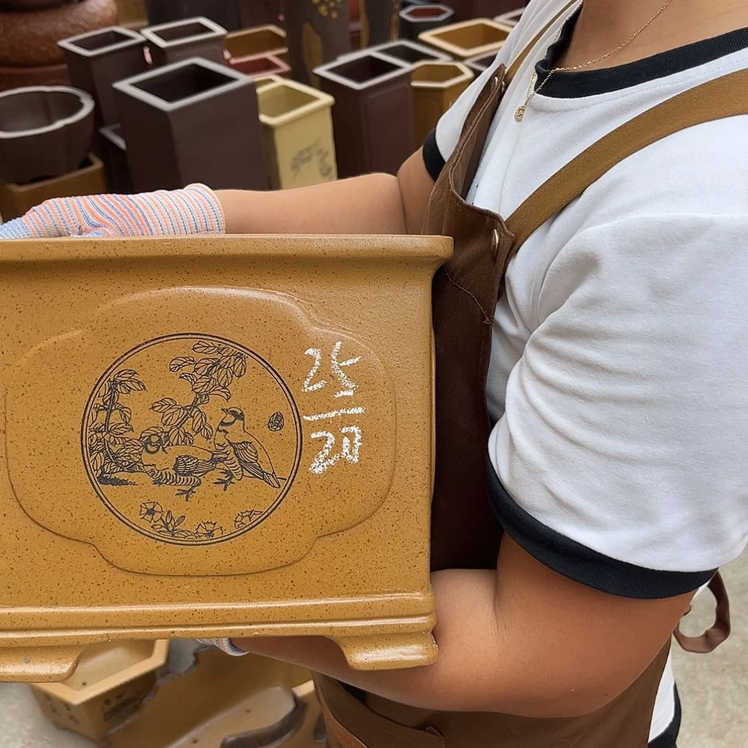 紫砂花盆盆景艺术