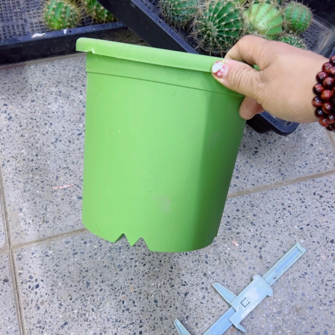 下87小绿盆2个口径15高15无托盘20包邮