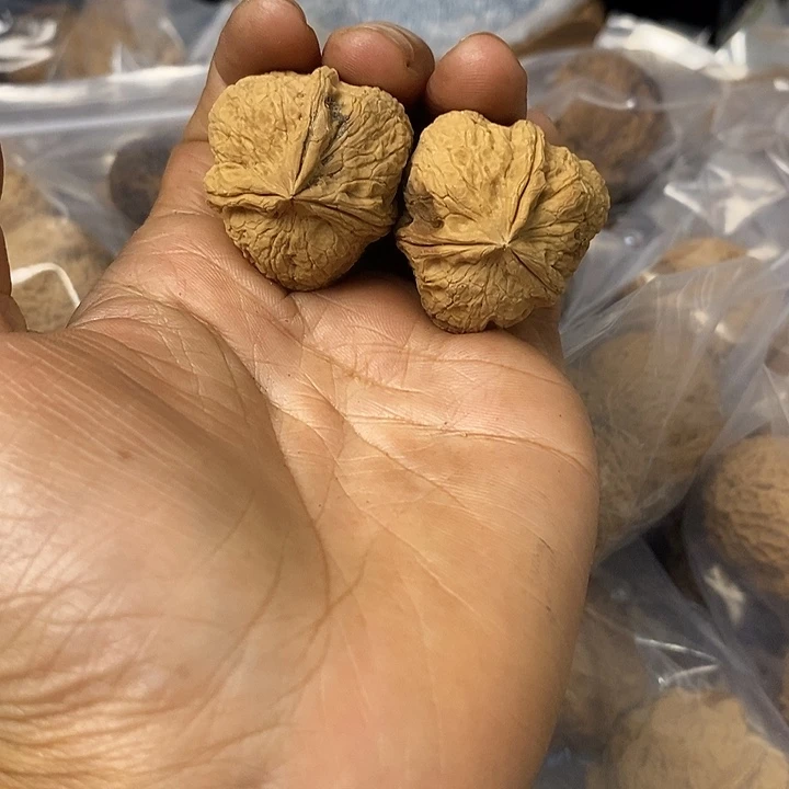 核桃云南铁核桃基地36