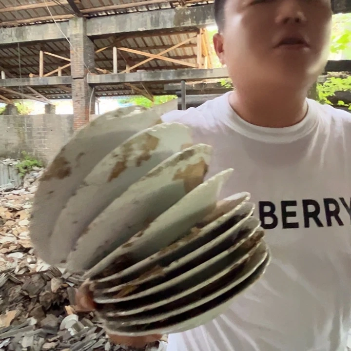 景德镇陶瓷老白胎7寸盘10只