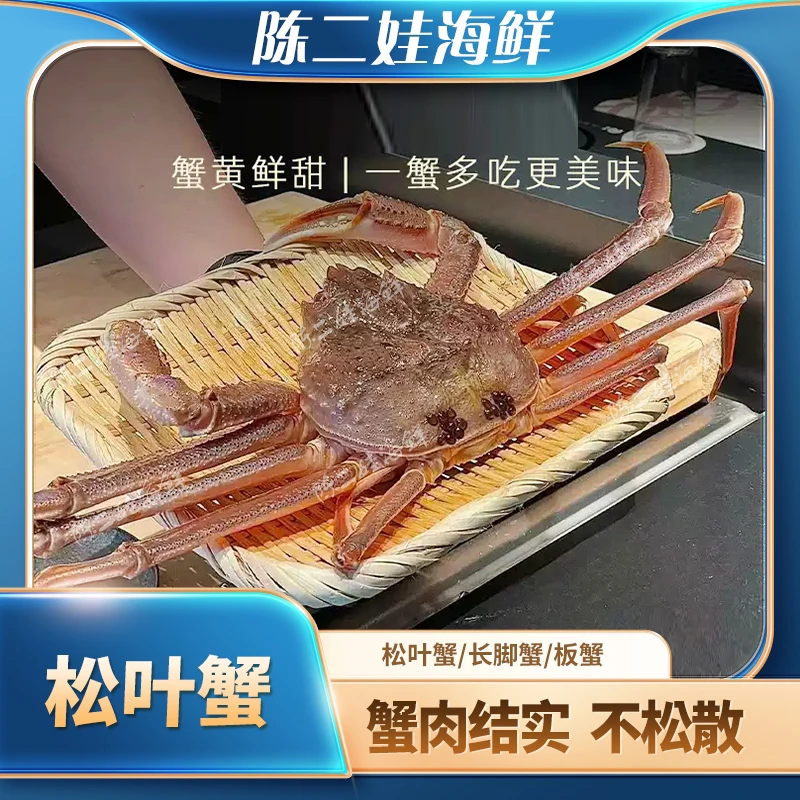 （鲜活）松叶蟹（500g- 550g）蟹同城配送