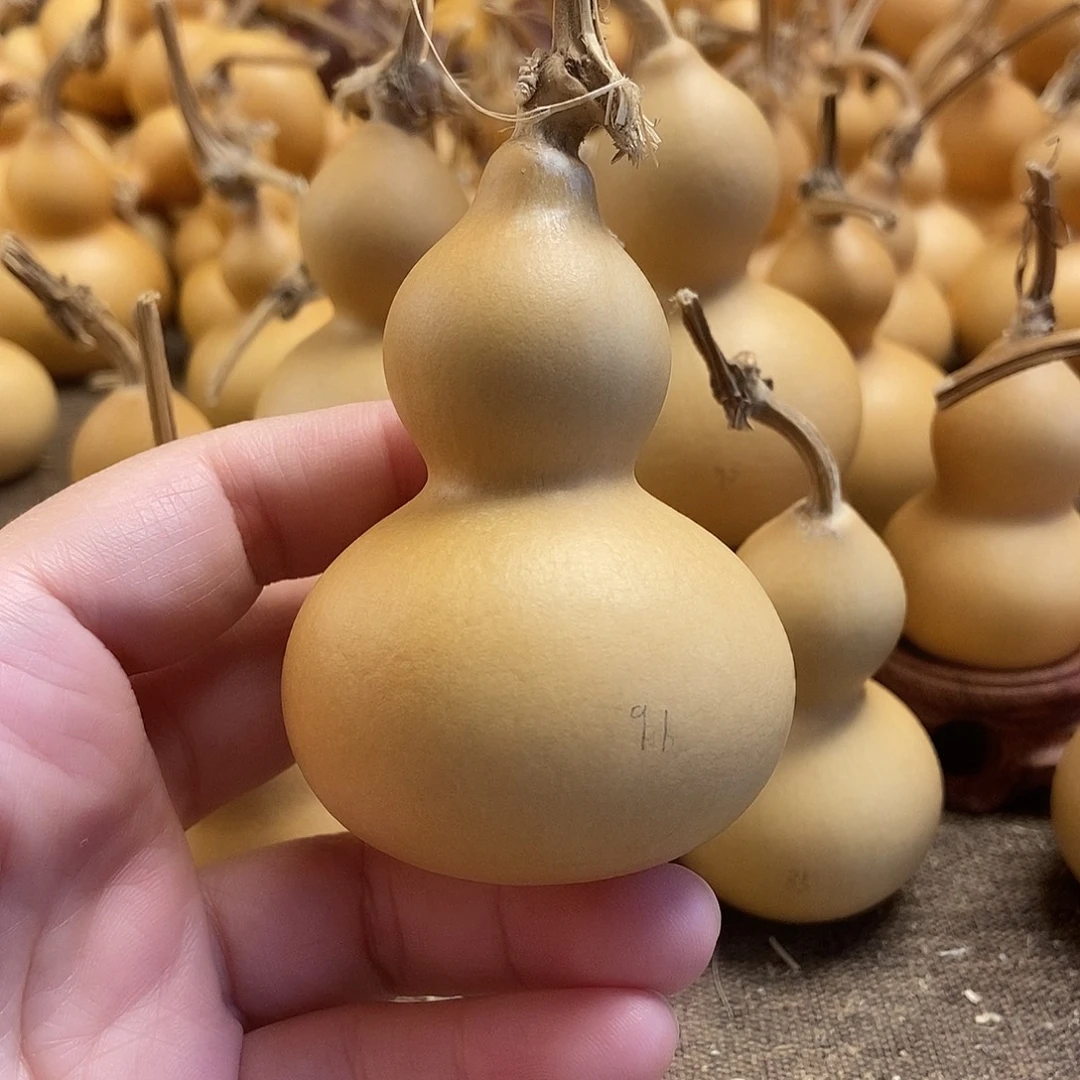 文玩葫芦 完美主义者 慎拍91