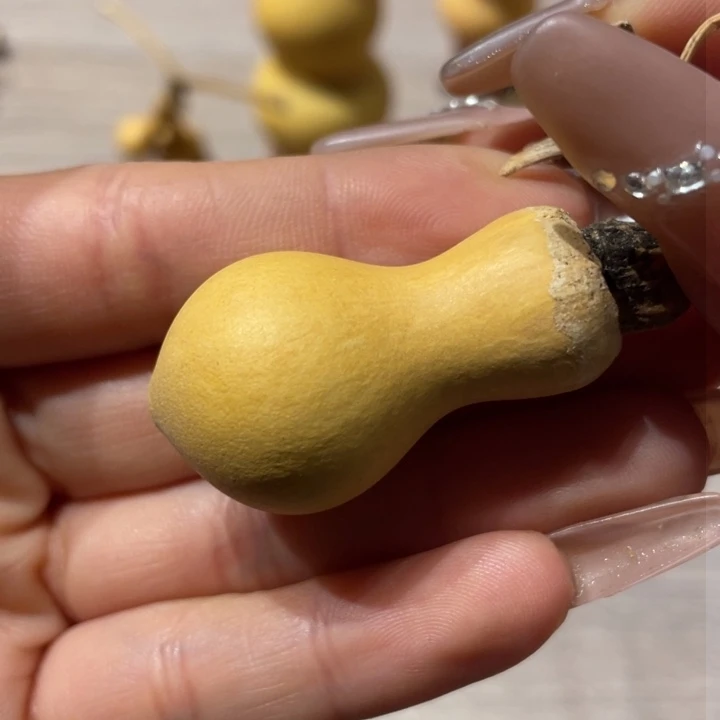 阳*下葫芦葫芦葫芦葫芦