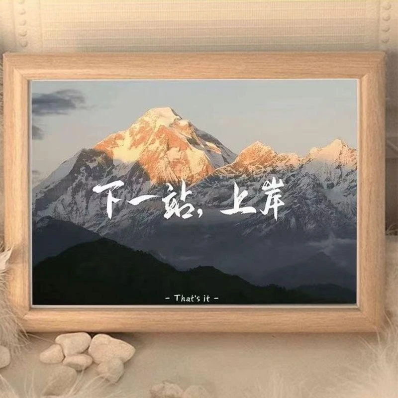 【主播专属】新中立牌季礼摆件04