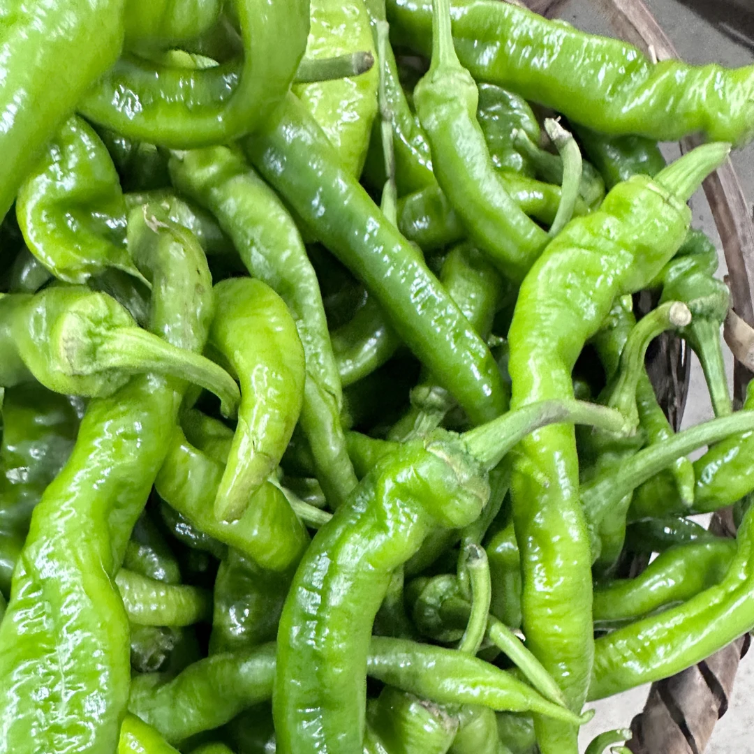 青辣椒新鲜现摘青椒农家自种香辣辣椒湖南特产