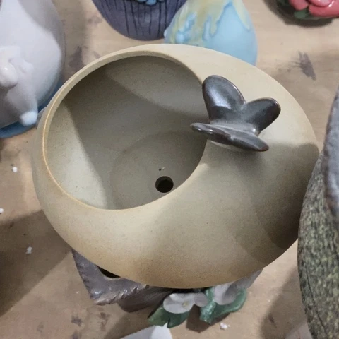 袜形黑蝴蝶3131313313