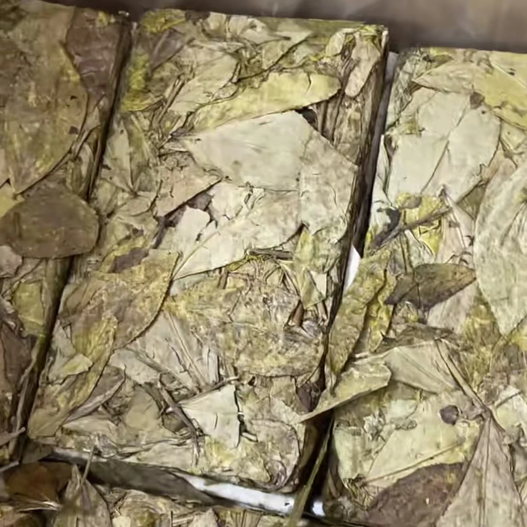 临时链接 看直播 2025年冬片寿眉砖  250克