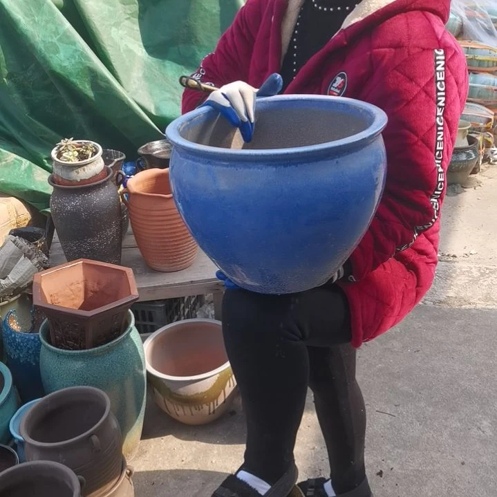 红陶口31高24瑕疵