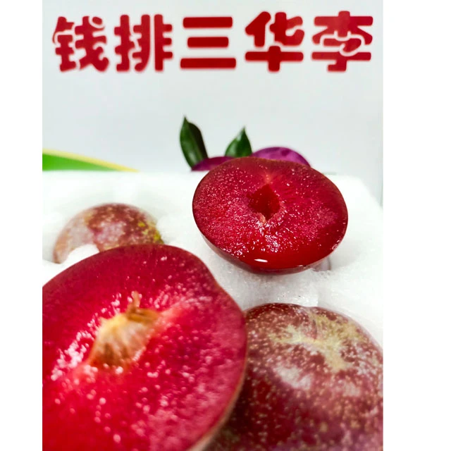 (热销大果)信宜李 钱排红心三华李新鲜采摘酸脆爽口 供销供应链
