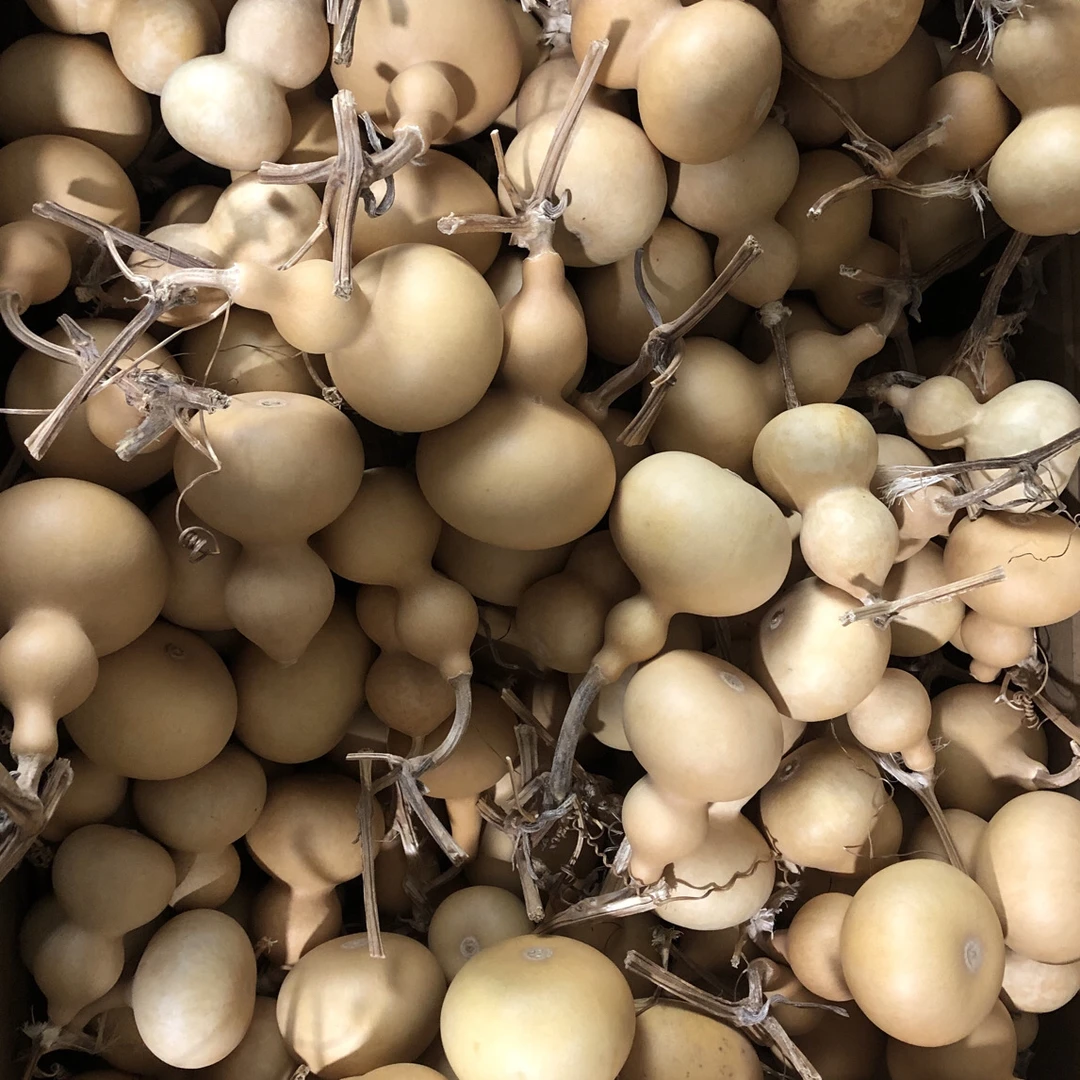 手捻葫芦（图片仅供参考）任选6个不包龙头介意勿拍