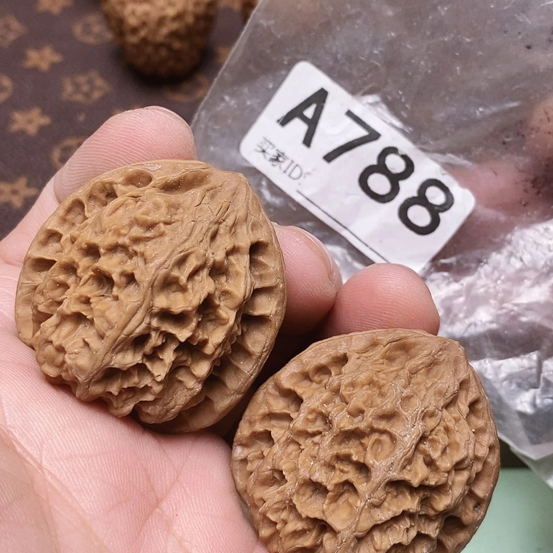 文玩核桃把件野牛37尺。