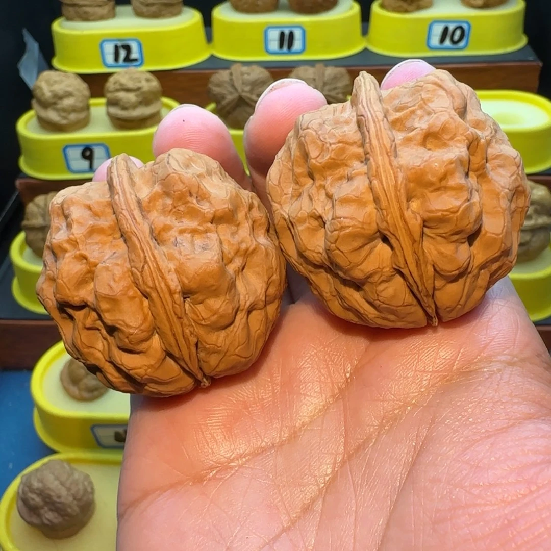 司***葛把件桃核七龙珠核桃