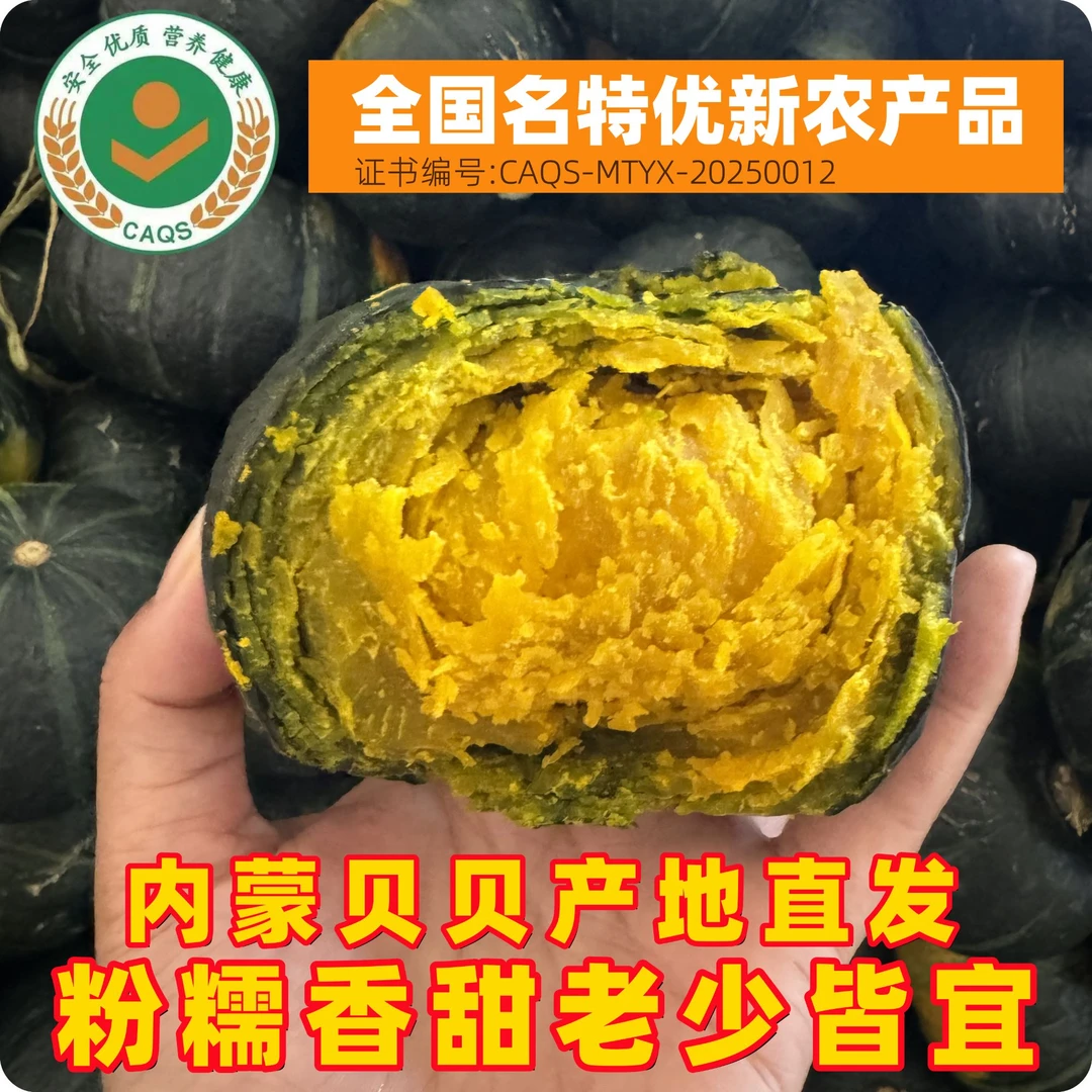 【粉面甜糯】正宗内蒙古贝贝南瓜新鲜采摘产地直发宝宝辅食