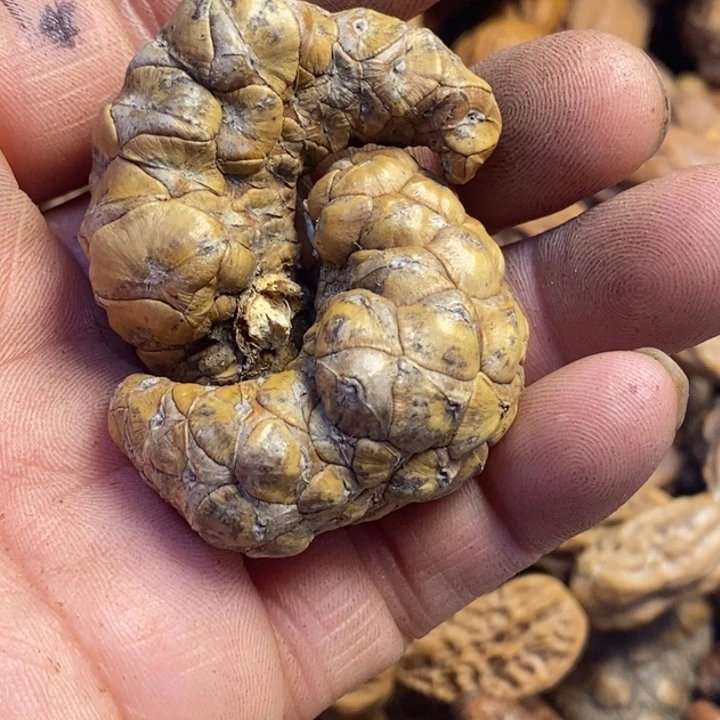 文玩核桃吊坠东北特产134