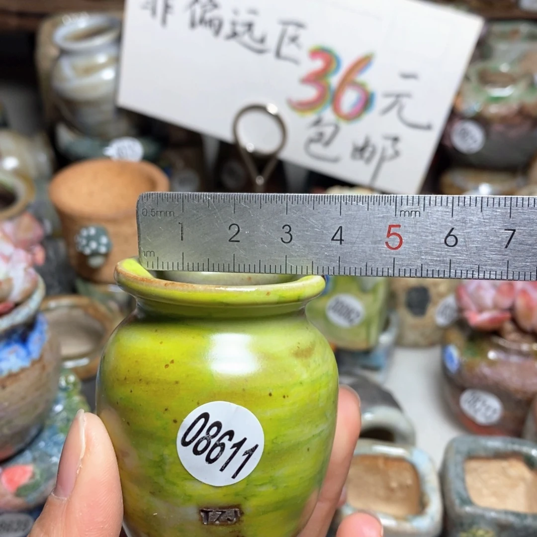 花盆拍5送一个小礼物