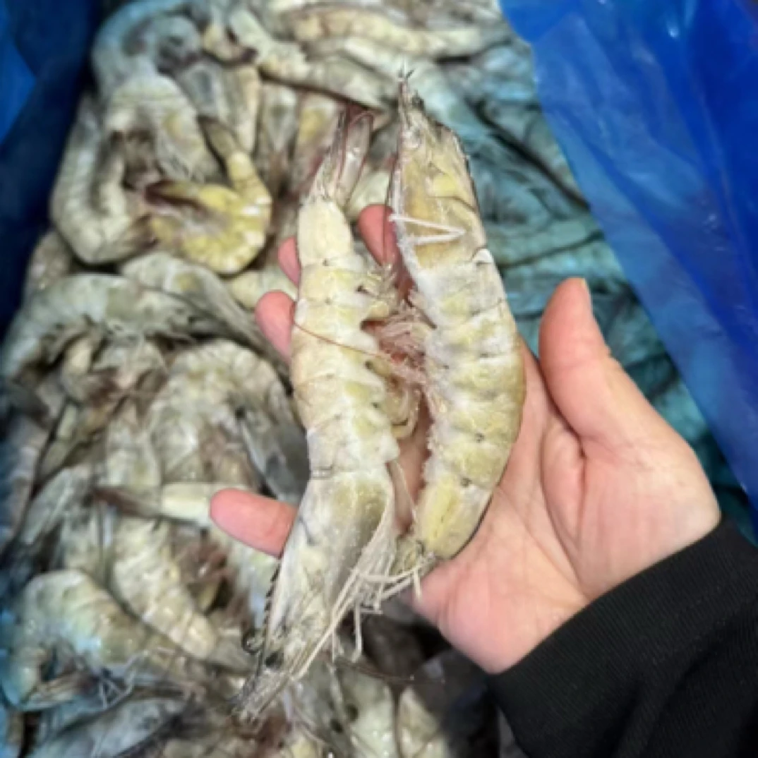 (冻虾手扒)虾三鲜水饺3盒60个