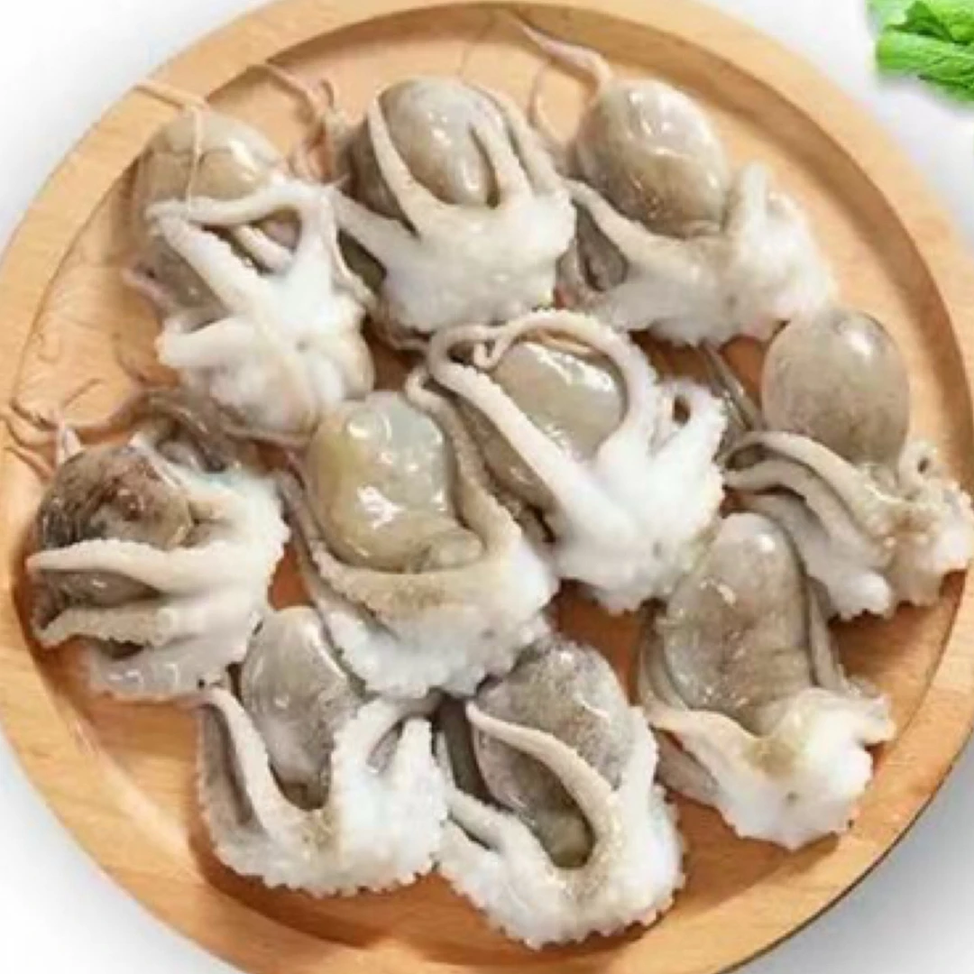 (君姐专属)外罗本地八爪鱼5斤/顺丰冷链包邮
