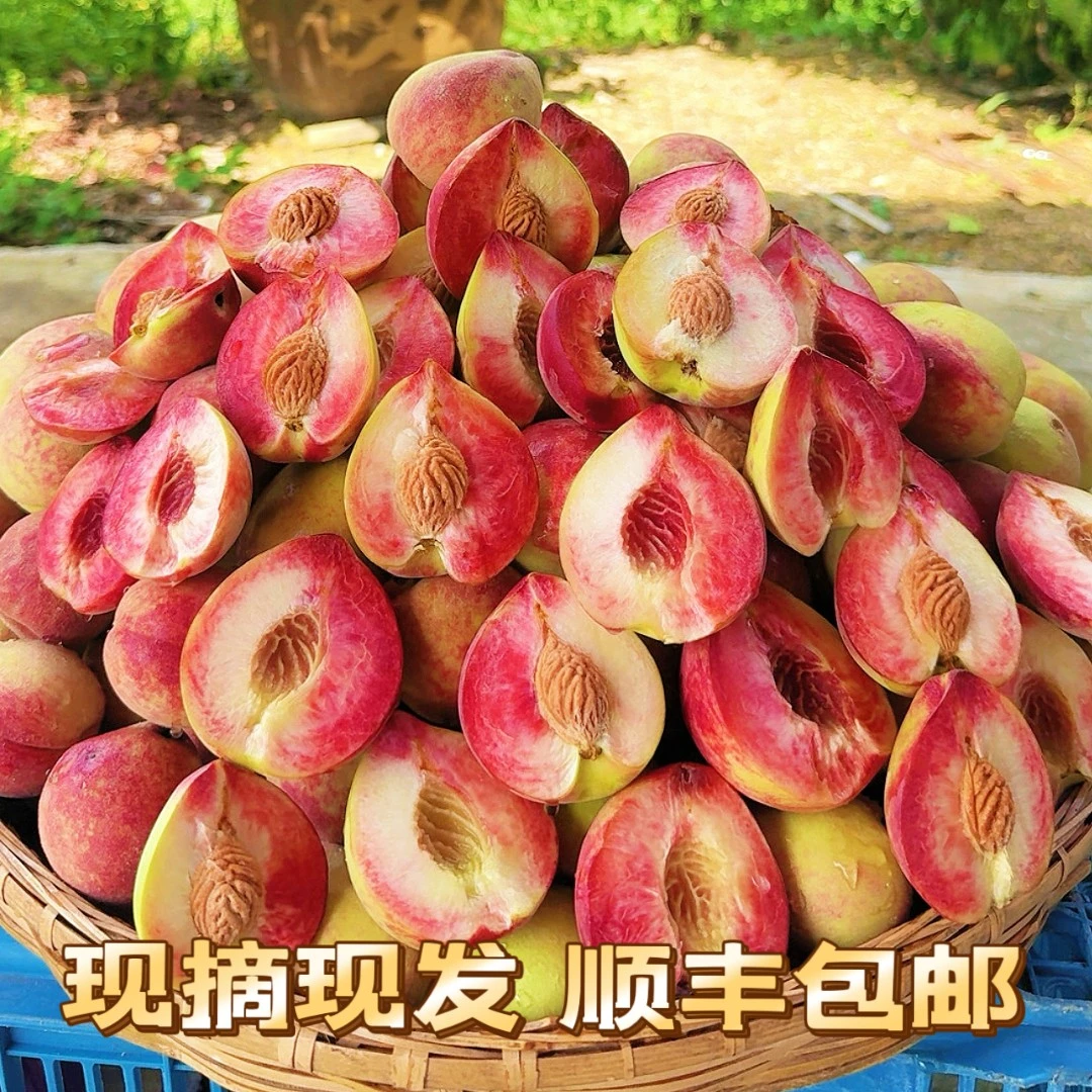百花桃贵州特色老品种应季水果现摘现发4.5斤装顺丰发货