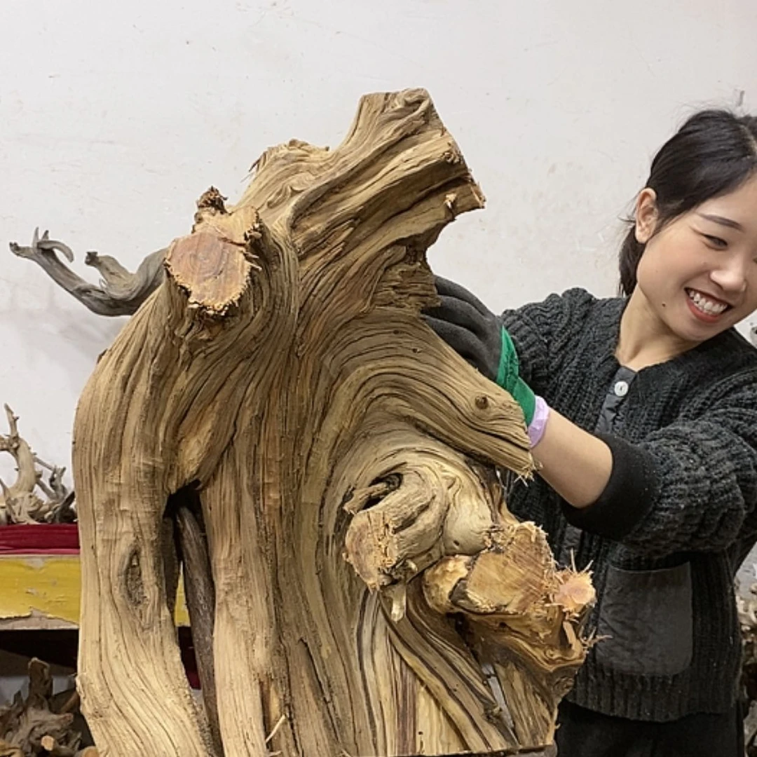 【闪购商品】柏木上****签我们都是好孩子