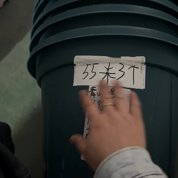 青山7#军绿5个无托