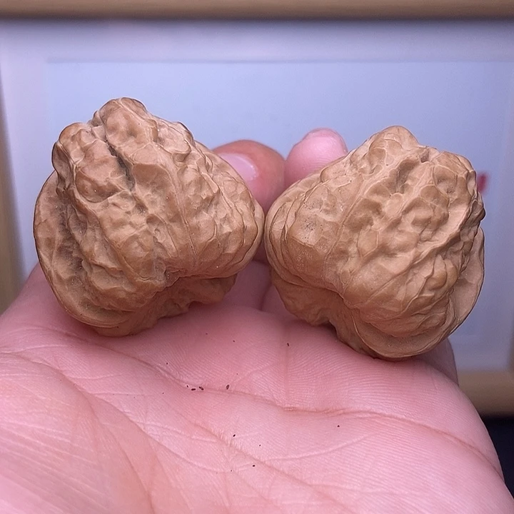 青***！核桃全品小尺蛙蛙