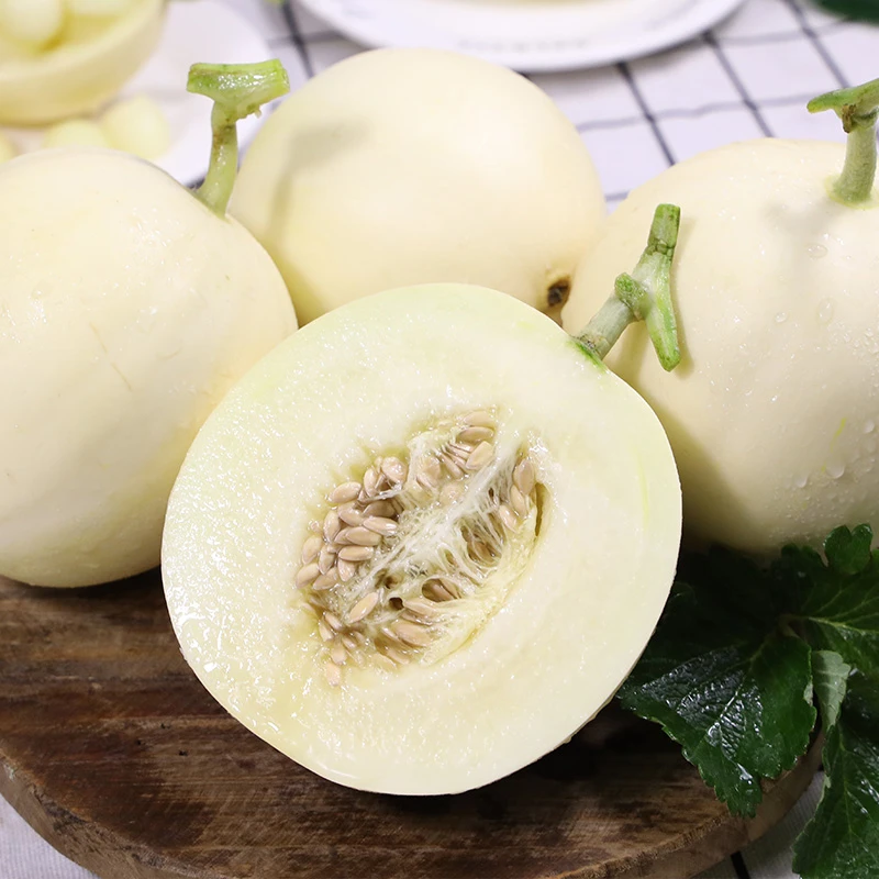 【自然搭档】头茬陕西阎良甜瓜软糯香甜4.5-5斤新鲜当季水果