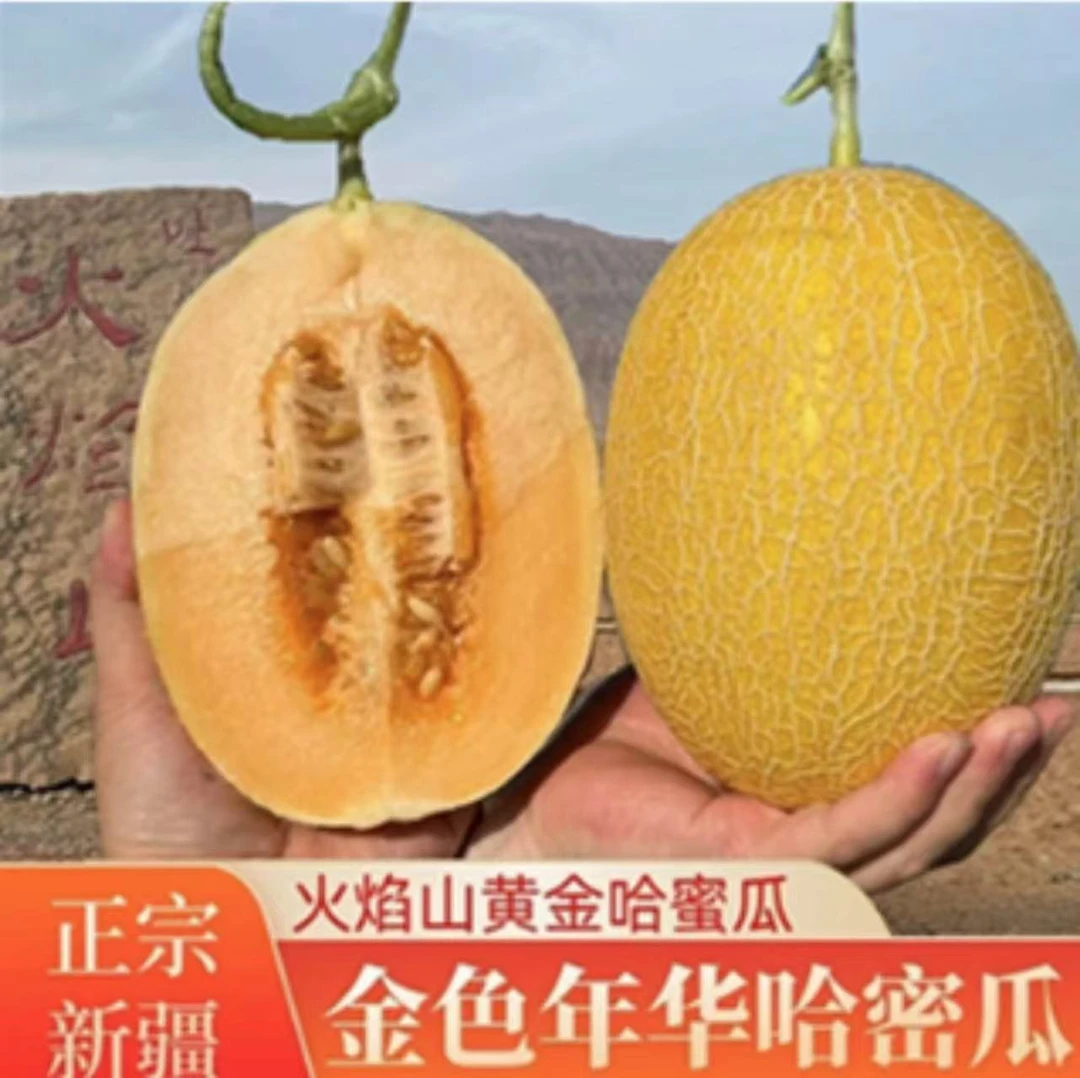 【新疆直发】正宗吐鲁番火焰山金色年华哈密瓜当季新鲜水果挚爱蜜