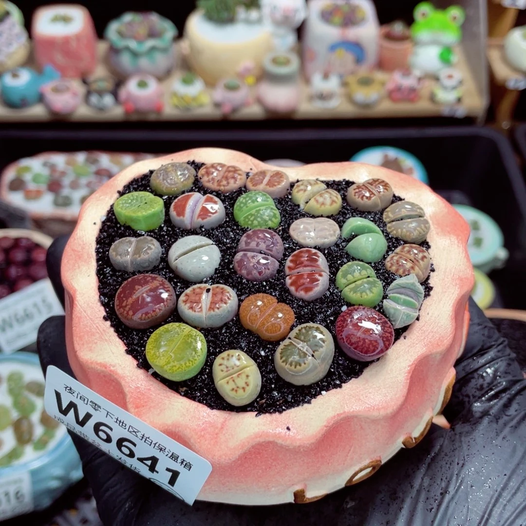 夜间零下地区拍保温箱w6641