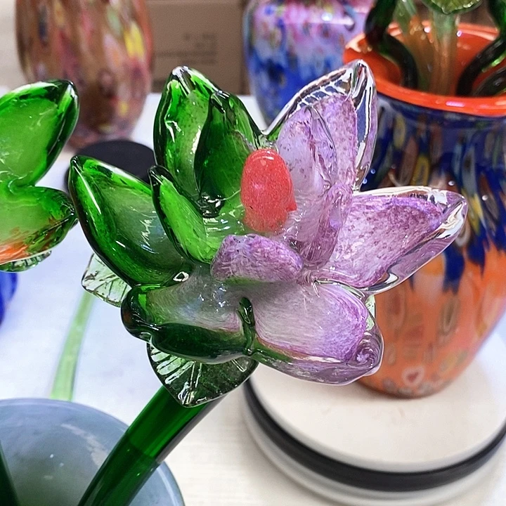 芬***2夜光花高45厘米宽12厘米