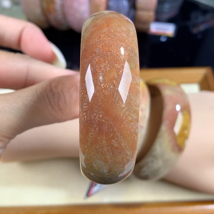 硅化珊瑚（珊瑚玉）未镶嵌吊坠(赠链)25号52圈口