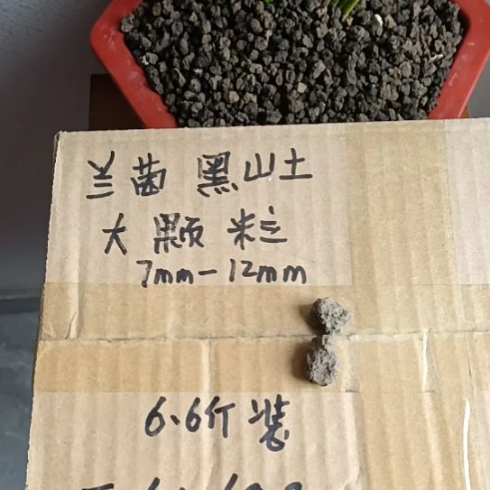 老***蠹兰菌黑山土大颗粒6.6