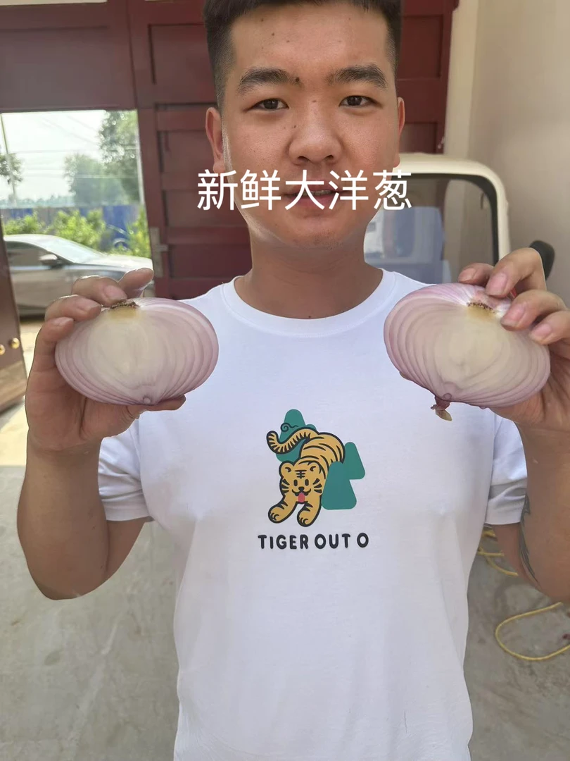 2025新鲜大洋葱 皮厚汁水多 微辣微甜农户自家种植10斤装
