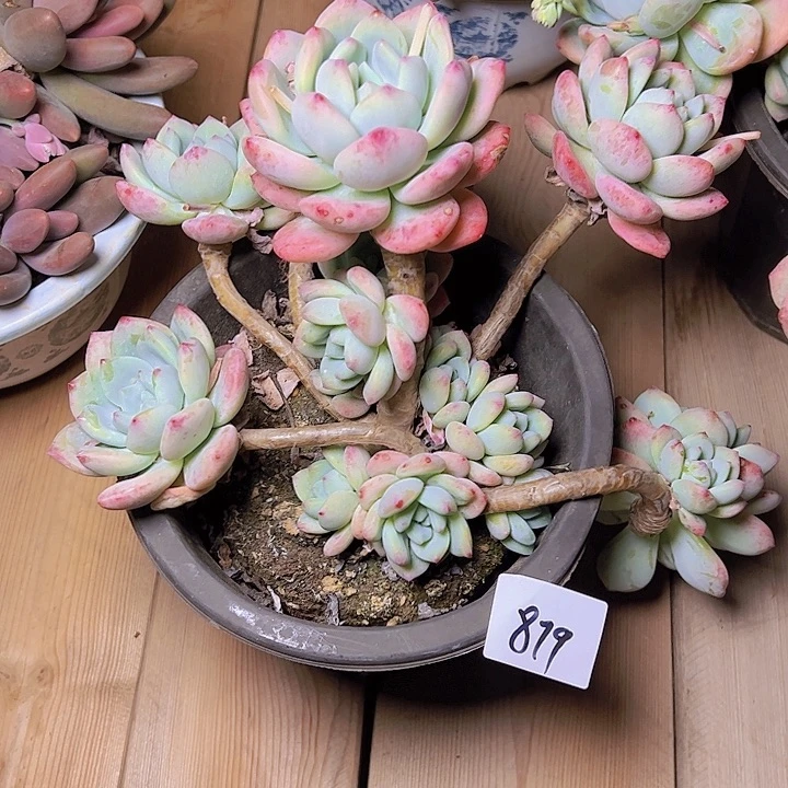 b****y879////////////////