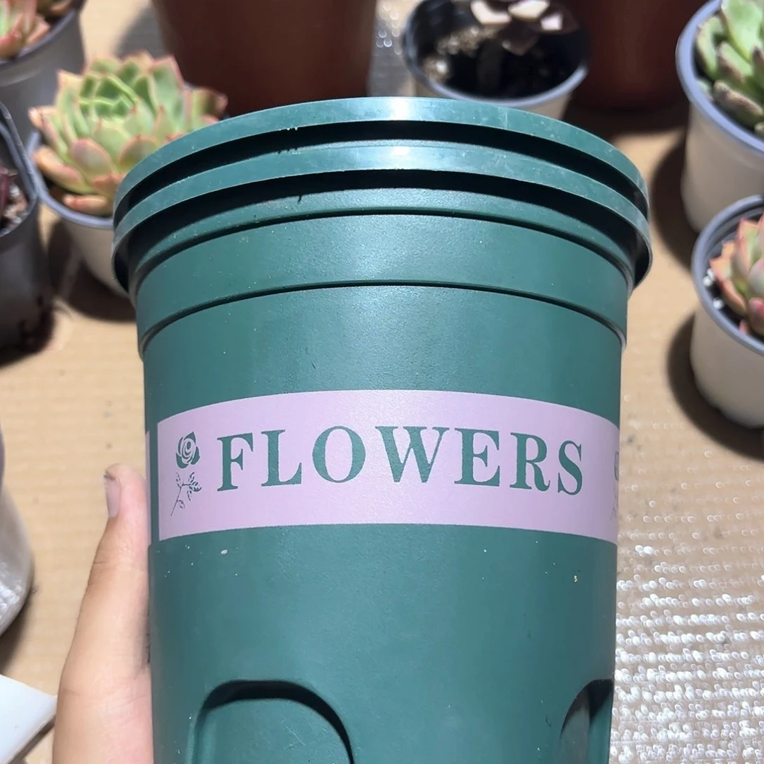 新疆包邮加仑盆包邮